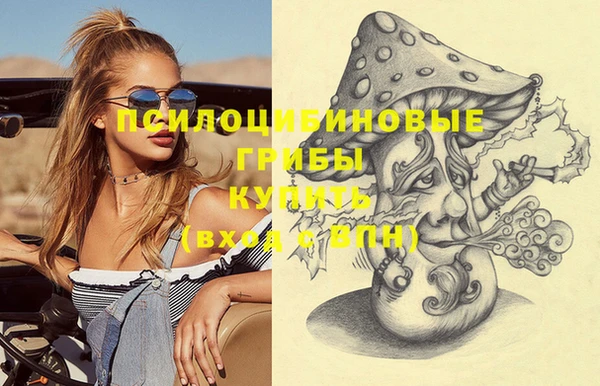 PSILOCYBIN Краснотурьинск