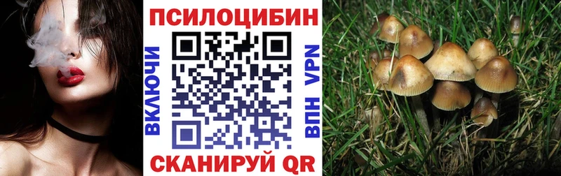 Галлюциногенные грибы Cubensis  Удачный 